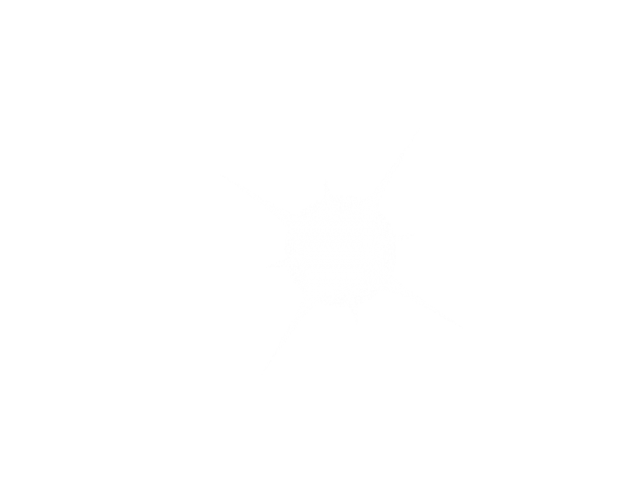 20240422115215_5105