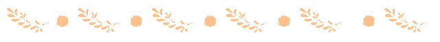 20241119171924_9234