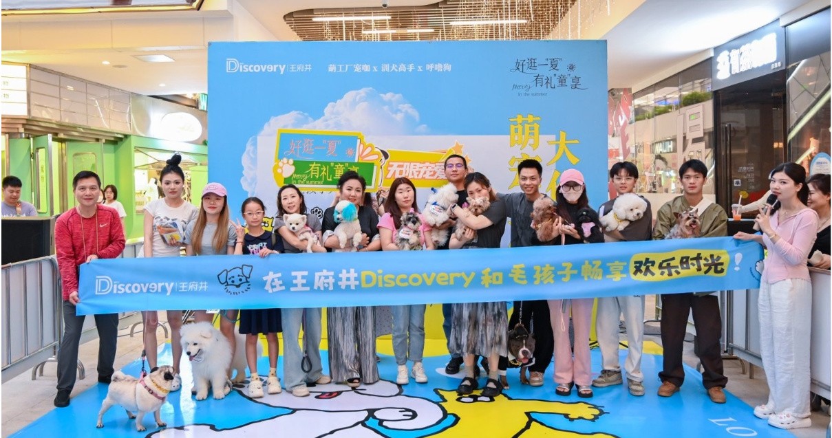 成都PG电子Discovery