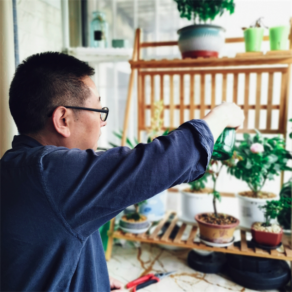 PG电子·仿照器(试玩游戏)官方网站