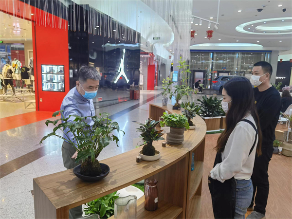 PG电子·仿照器(试玩游戏)官方网站