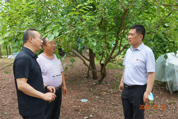 PG电子·仿照器(试玩游戏)官方网站