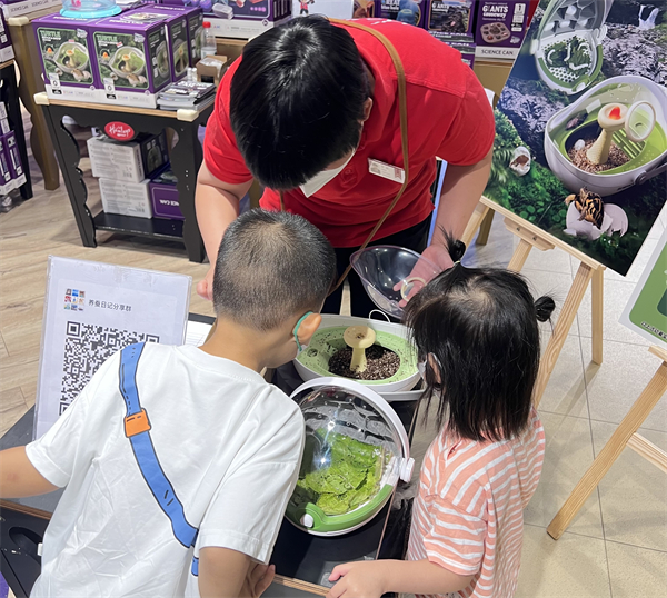PG电子·仿照器(试玩游戏)官方网站