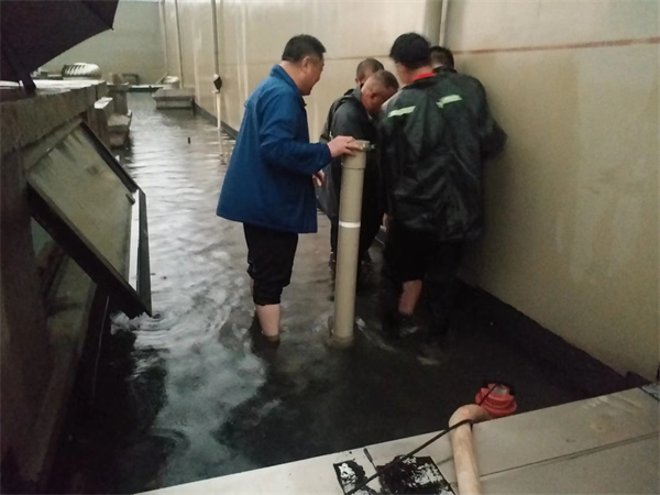 PG电子·仿照器(试玩游戏)官方网站